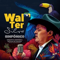 Walter Silva Sinfónico - Walter Silva