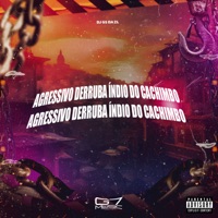 Agressivo Derruba Índio do Cachimbo - Single - DJ GS DA ZL