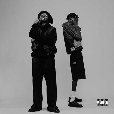 Risk (feat. BONIFAC3) - Single