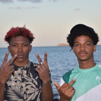 Brow qls la reine de SOWETO (feat. Bosto & Diallo platnumz) - Single - Shanks production