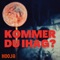 KOMMER DU IHÅG? artwork