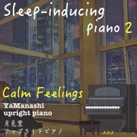 Calm Feelings