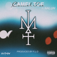 Camel Toe (feat. Naluh) - Single - Mick Comte