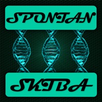 Spontan - Single - Skiba