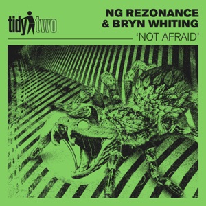 Not Afraid - Single