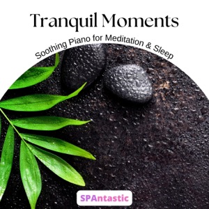 Tranquil Moments: Soothing Piano for Meditation & Sleep
