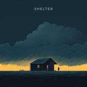 Shelter artwork