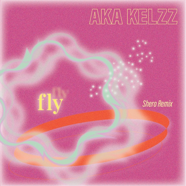 Fly Remixes - Single