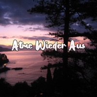 Atme Wieder Aus - Single - Schleini