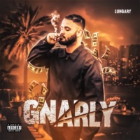 Gnarly - Single - Luhgary