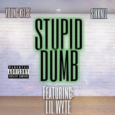 Stupid Dumb (feat. Lil Wyte & Sikknez) - Single
