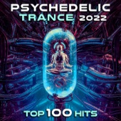 Psychedelic Trance 2022 Top 100 Hits artwork