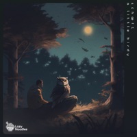 a little birdy - Single - schæft & Lazy Noodles