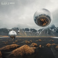 Want It - Single - Black V Neck