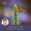 Trapped in the Thicket of Opinion - Eckhart Tolle