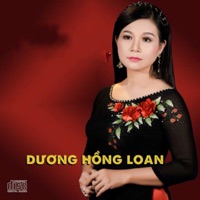 Cơn Mê Tình Ái - Single - Dương Hồng Loan