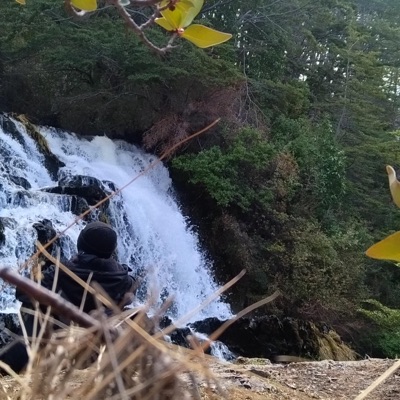 Bosque mental - Single