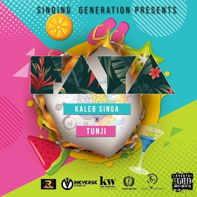 FAYA (feat. Tunji) - Single