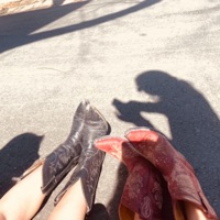 Stay - Single - STELLA LEFTY