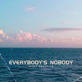 Everybody's Nobody Wiser Observer