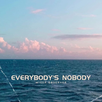 Everybody's Nobody - Single