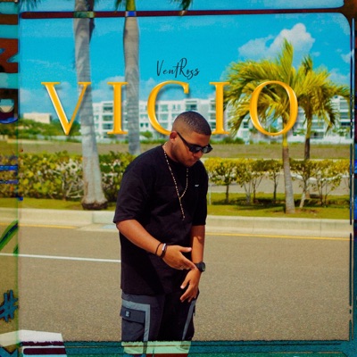 Vicio (feat. RYK) - Single