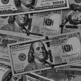 Dollar Vivace