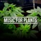 Music For Plants - AUDIOPONICS lyrics