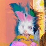 The One Who Got Away