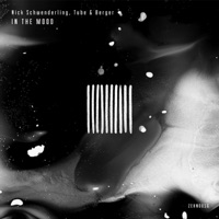 In the Mood (Extended Mix) - Single - Nick Schwenderling & Tube & Berger