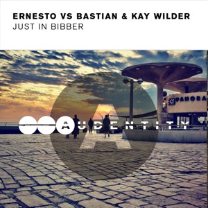 Just in Bibber (Radio Edit)