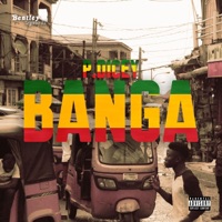 Banga - Single - P.DICEY
