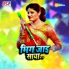 Bhig Jai Saya - Single