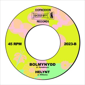 Bolmynydd / Helynt - Single