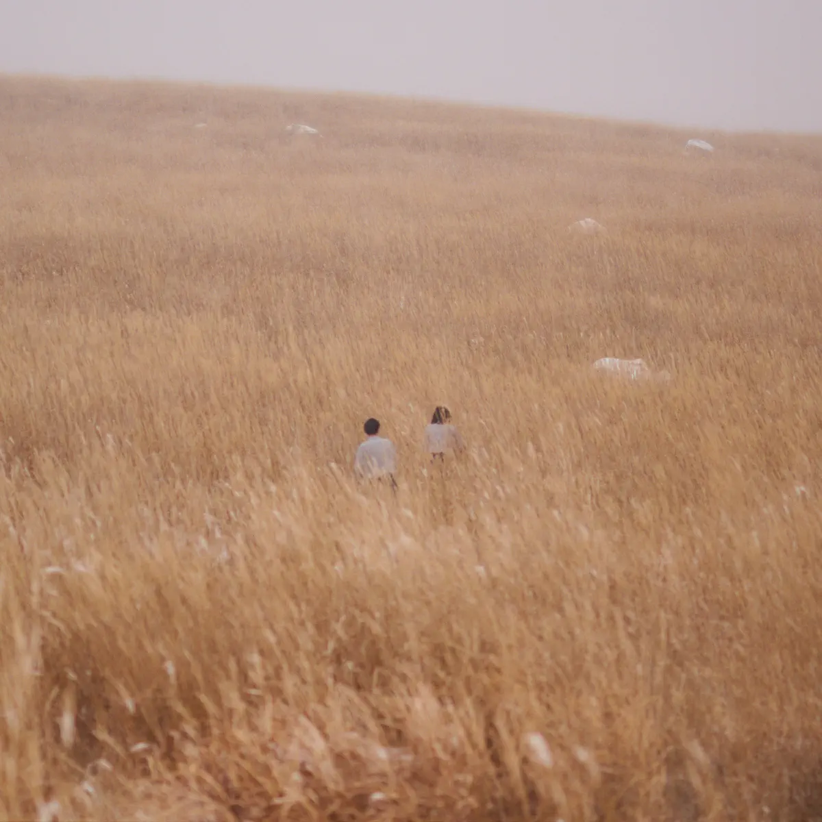 IRI - Hug - Single (2024) [iTunes Plus AAC M4A]-新房子