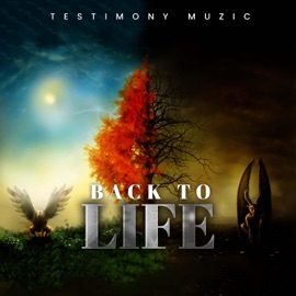 Back To Life Testimony