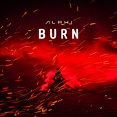 Burn artwork