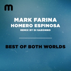 Best of Both Worlds (Di Saronno On The Rocks Mix)