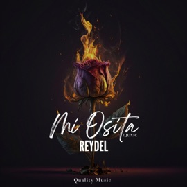 Mi Osita Reydel