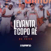 Levanta O Copo Aê (Ao Vivo) artwork