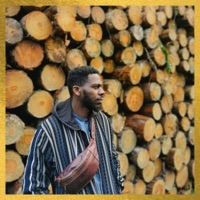 FORWARD (feat. Jalisa Denice, Tommy Evans & MaMa K) - Single - Ajarni