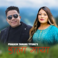 Ngala Maya (feat. Sumina Lo) - Single - Prakash Tamang Titung
