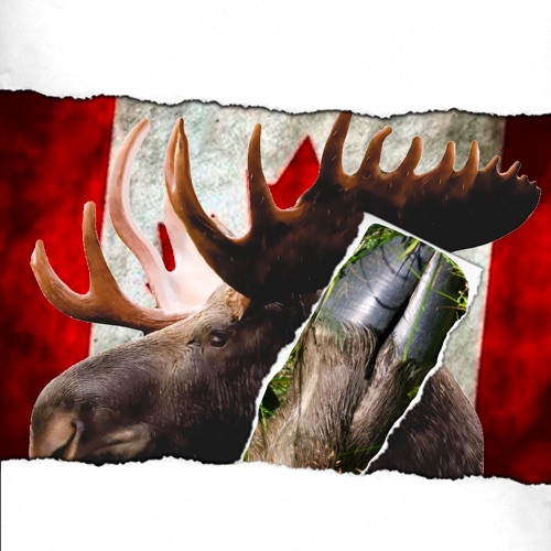 Moose Knuckle - Single