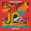 Daytrippin - Iration