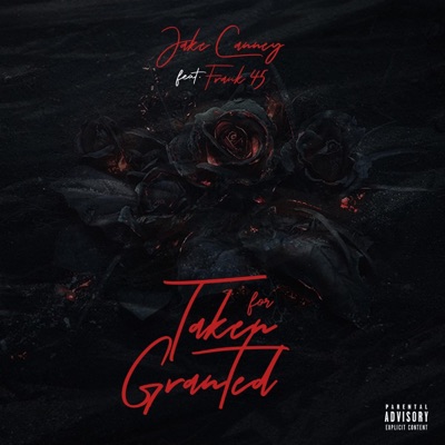Taken For Granted (feat. Frank45) - Single