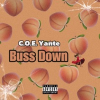 Buss Down - Single - C.O.E.Yante