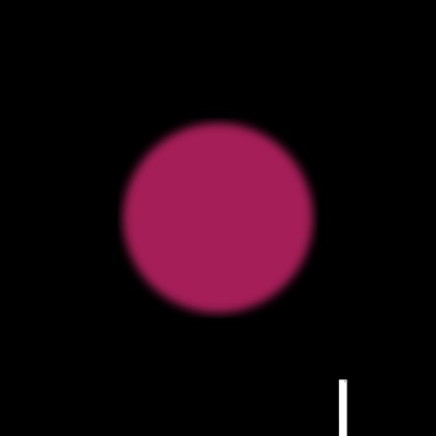 We're Not Going Anywhere - Single