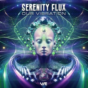 Our Vibration - Single