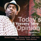 yosvany Terry - Summer Relief