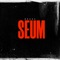 SEUM - Douks lyrics